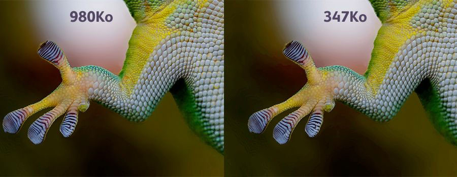 What Is Image Optimisation