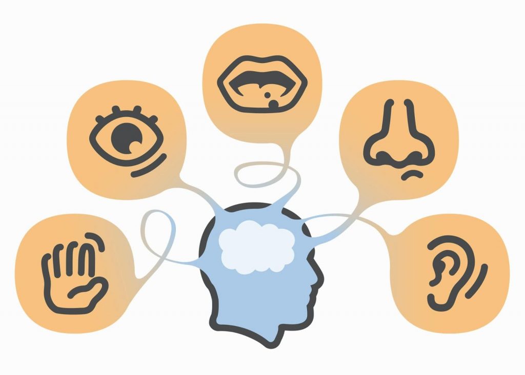 What Is Sensory Marketing