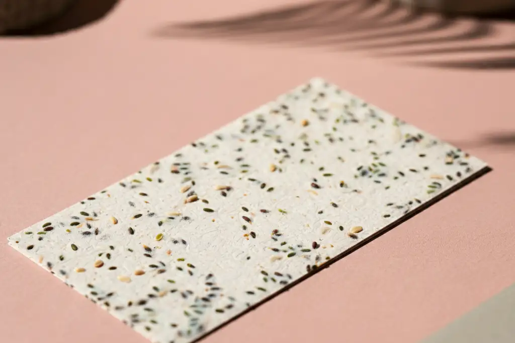 Biodegradable Business Card Ideas