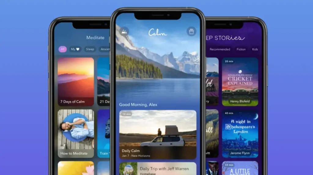 Calm Mobile App Development Company