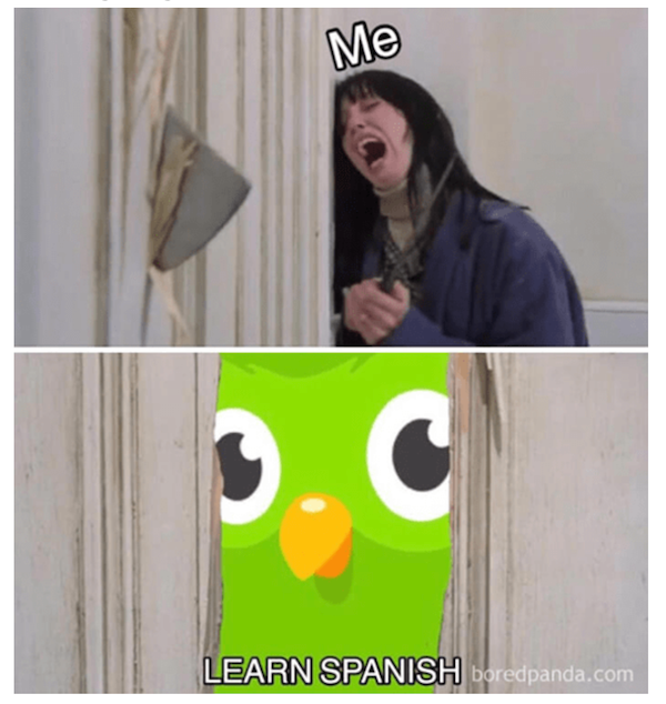 Duolingo Meme