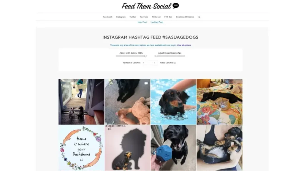 Feed Them Social Media Plugin For Wordpress