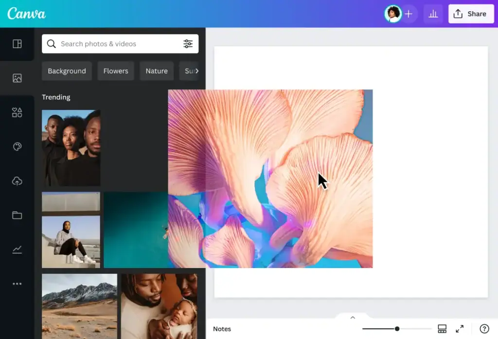 Free Stock Photos On Canva