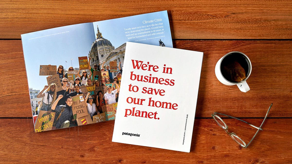 Patagonia Core Brand Values Example