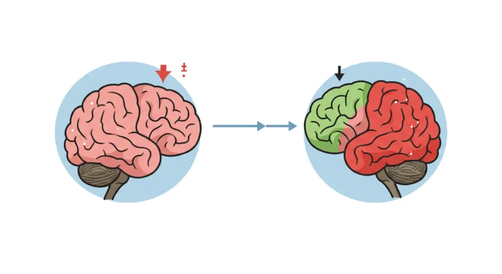 Prospect Theory Explained