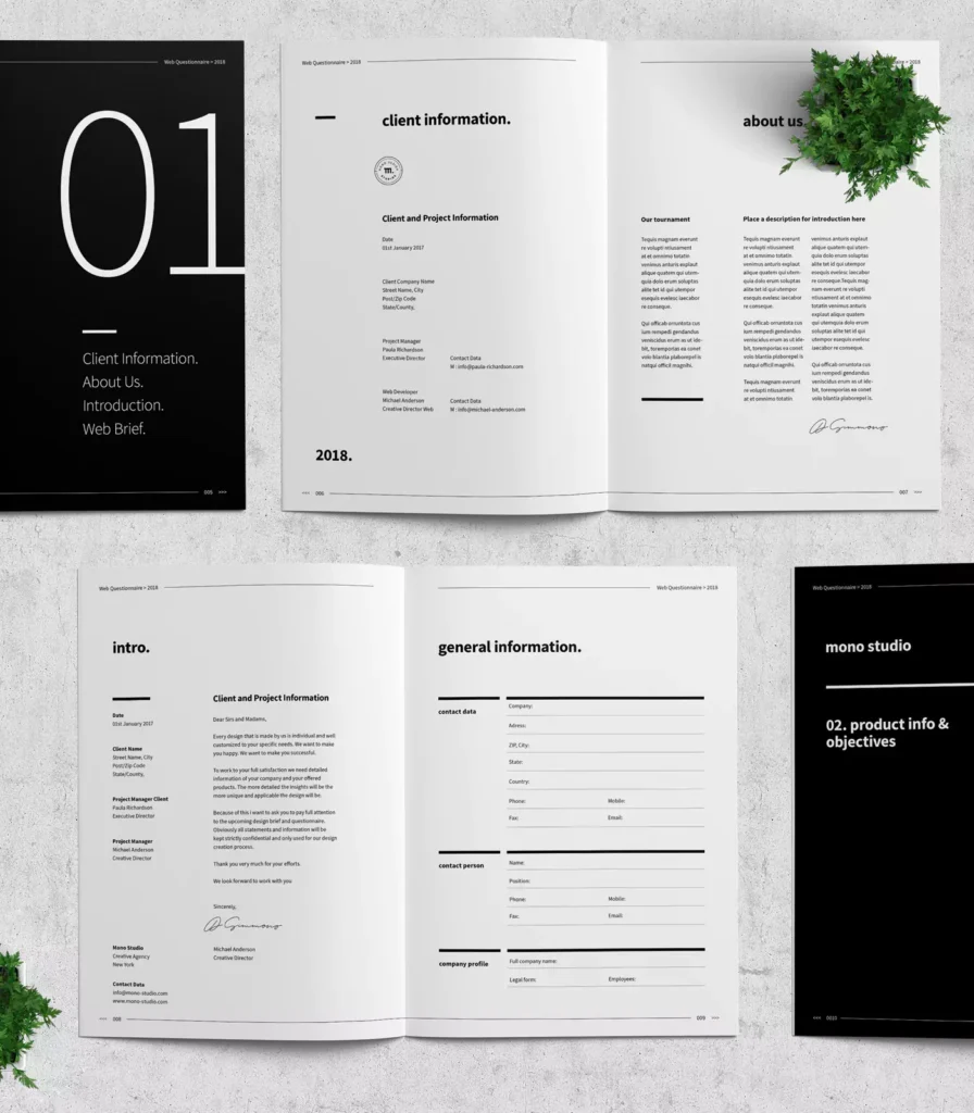 Web Design Brief Example
