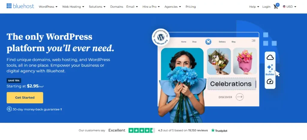 Web Hosting, Domain, &Amp; Wordpress Provider Bluehost