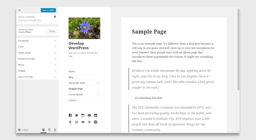Wordpress Customizer Guide 2025